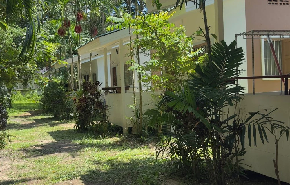Jungle Hut by Aforetime at Aforetime Properties Picture